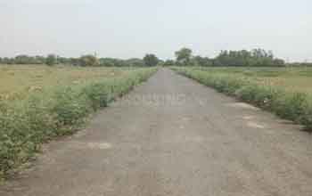 Plot 1