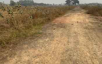 Plot 3