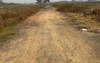 Plot 4