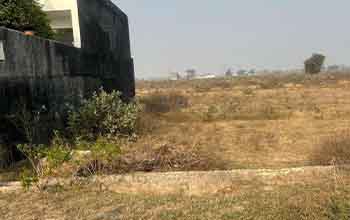 Plot 5