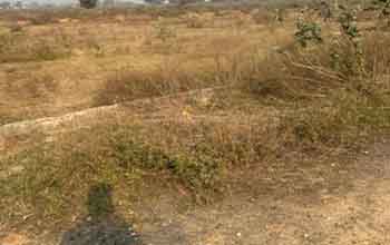 Plot 1