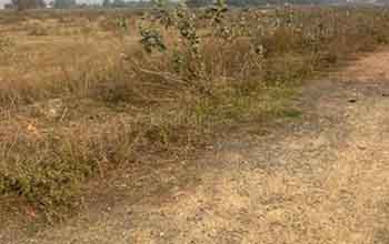 Plot 3